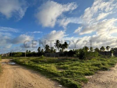 Aeropuerto , Chichiriviche, Falcón 00001, Venezuela