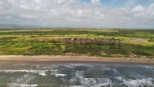 Punta Gorda , Chichiriviche, Falcón 00001, فنزويلا