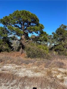 487 Devotion Drive, Lake Placid, Florida 33852, USA