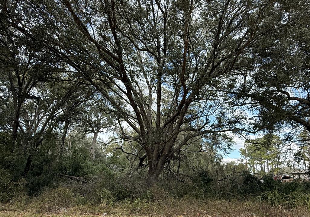 O Hilda Road - Lot 9, Dade City, Floride 33523, États-Unis