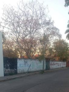 JUAN SARABIA 97,, Cuautla, Morelos 62740, Mexico