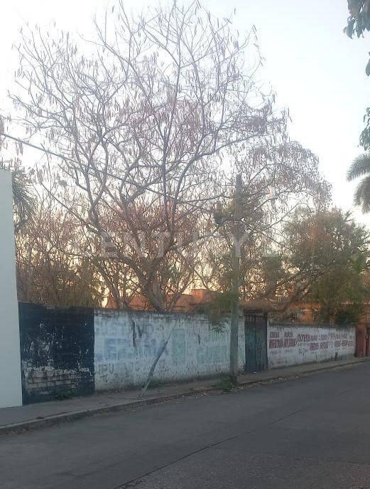 JUAN SARABIA 97,, Cuautla, Morelos 62740, Mexique