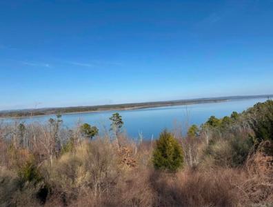 Lot 139 & 140 Lakefront Road, Quitman, Arkansas 72131, USA