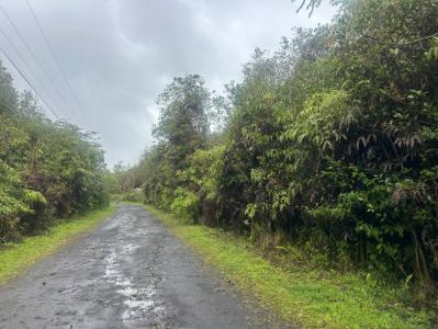 Lot 5, Palm Tree Dr, Mountain View, Hawaii 96771