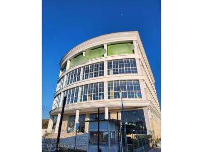 Pezë - Helmes, Tirana, Albania