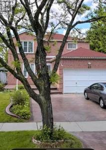 62 ELSON STREET, Markham (middlefield), 온타리오주 L3S 1Y7, 캐나다