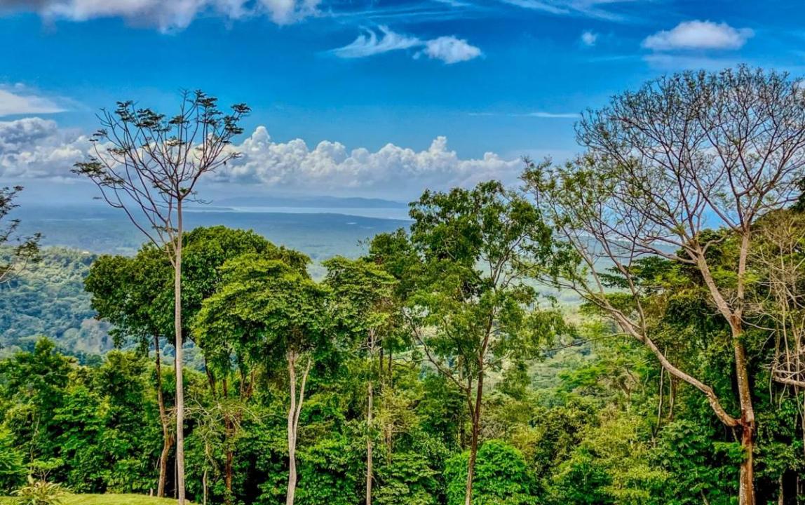 Tres Ríos Puerto Cortés Osa, Puntarenas 00001, Costa Rica