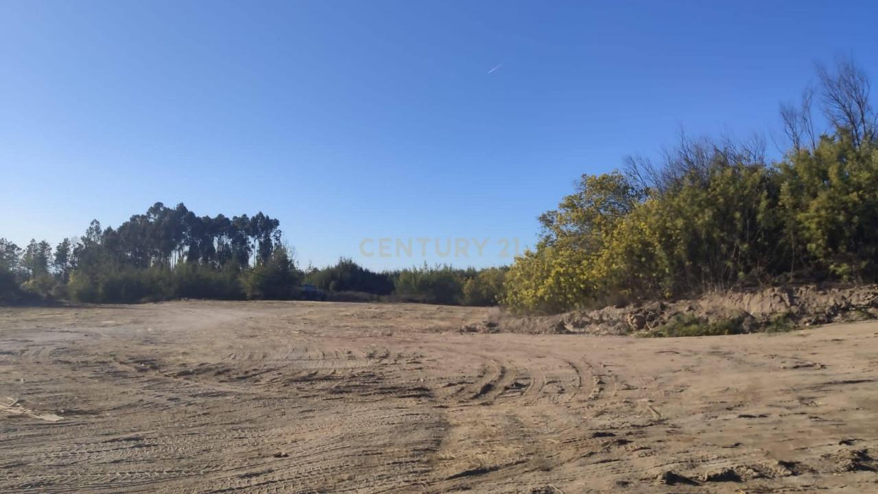 Celorico Da Beira, 구아르다 6360-140, 포르투갈