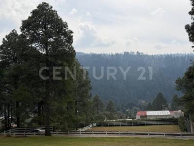 Camino Atarasquillo Huizquilucan (Paraje 'Ocotal') ,, 賴爾馬, 墨西哥州 52045, 墨西哥