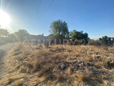 CENTNARIO DE LA EDUCACION PARCELA 290 Z 2 P3/3,, Tecámac, Estado De México 55740, Mexico