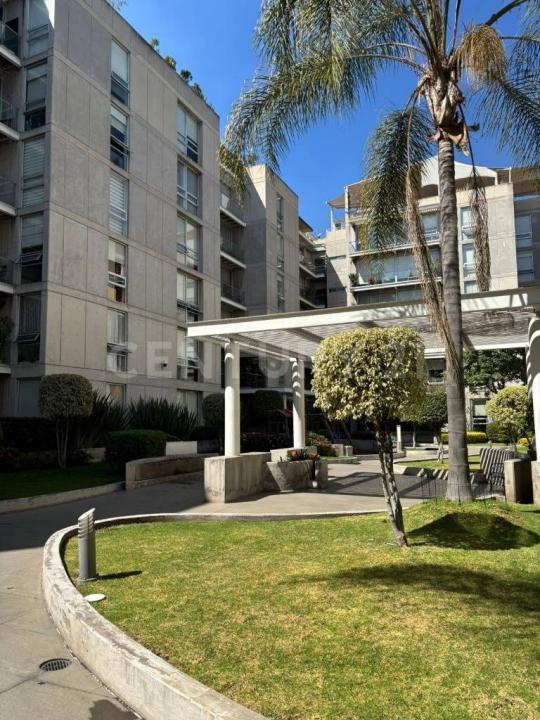 Adolfo Prieto 1734,, Benito Juárez, Ciudad De México 03100, 墨西哥