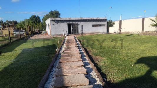 C. Miraso, M5529 Mendoza , Rodeo Del Medio, Mendoza 5529, Argentina