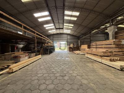 La Plata, GBA Sur 1900, Argentina