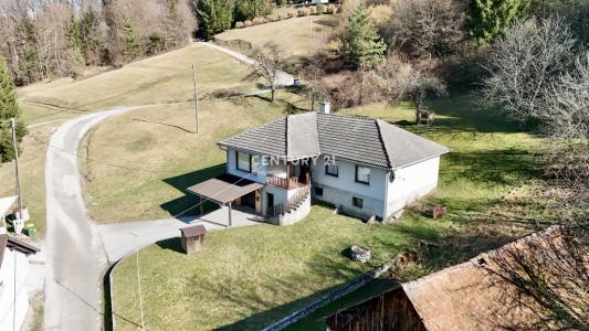 Zabukovica, Žalec, Savinjska 3302, 斯洛文尼亚