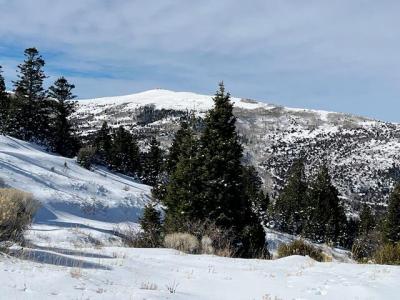 3934 S Summit Mountain Road Lot 3, Summit, Utah 84772, USA