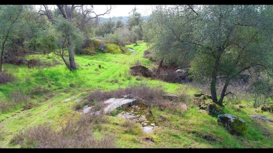 832 Silver Bar Rd., Mariposa, California 95338, Estados Unidos