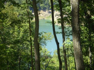 Lot 20 Cumberland Shores, Monticello, Kentucky 42633, Estados Unidos