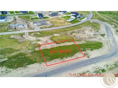 Lot 7 Block 5 Cody Boy Street, Billings, Montana 59106, États-Unis