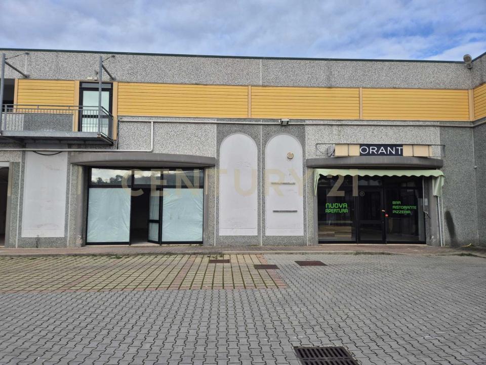 Cerro Sughero, Campagnatico, Toscana 58042, Italie