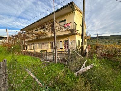 Mirandela, Bragança 5370-102, Portugal