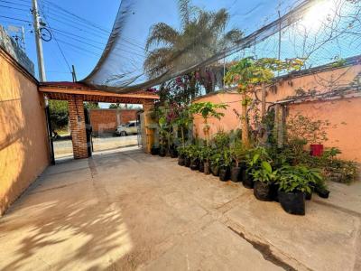 Gaviotas 108,, Chapala, Jalisco 45901, Mexico