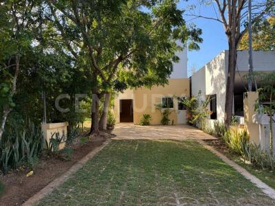 Mérida, Yucatán 97300, México