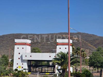 Abu simbel 5,, Lagos De Moreno, Jalisco 47524, Mexico
