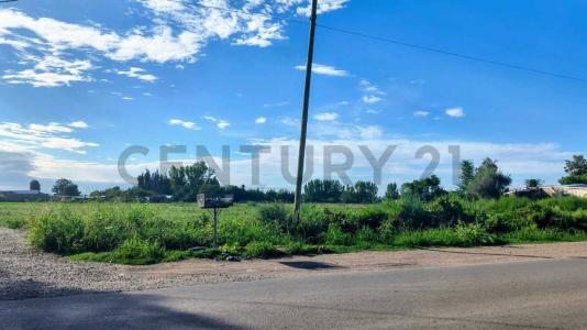 Guaymallén, Mendoza 00001, Argentina