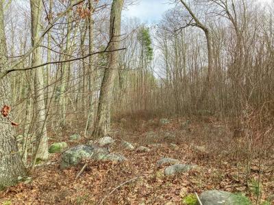 183 Blackstone St, Mendon, Massachusetts 01756, HOA KỲ