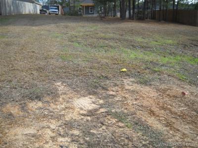 Lot 2 Sandy Hills Street, Ozark, Alabama 36360, USA