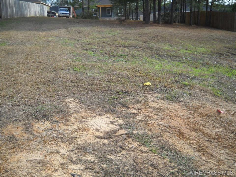 Lot 2 Sandy Hills Street, Ozark, Alabama 36360, États-Unis