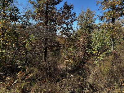 0 Ridge Top Rd, Stewart, Tennessee 37175, USA