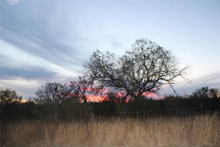 0000 Cr 339, Jourdanton, Texas 78026, USA