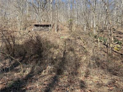 0 Offutt Drive, Charleston, WV 25302, USA