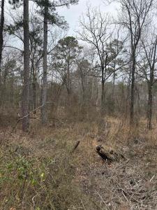 TBD San Juan Way, Hot Springs Village, أركنساس 71909, الولايات المتحدة