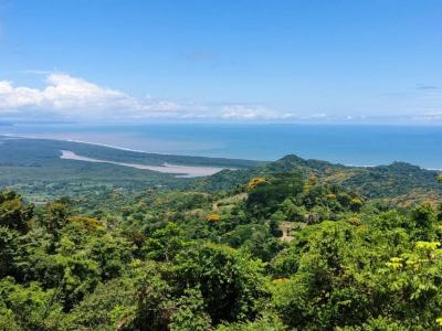 Tres Ríos Puerto Cortés Osa, Puntarenas 00001, Costa Rica