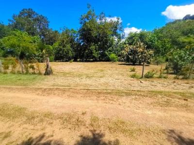 Puerto Cortés Osa, Puntarenas 00001, Costa Rica