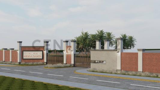 Predio Rustico Sector Pozuelo Sur , Chincha, Ica 00001, Peru