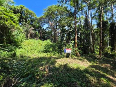 Ballito, KwaZulu Natal, South Africa