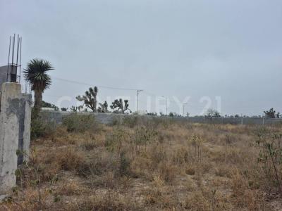 Las Yucas s/n,, Salinas Victoria, Nuevo León 65500, Mexique