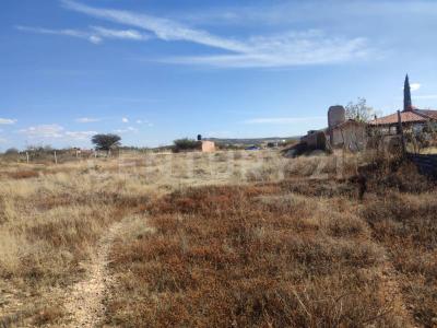 LA LOMA 2,, Guadalupe, Zacatecas 98630, Mexique