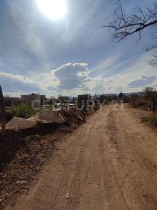 Callejon de Lazaro Valdez / Pozo blanco s/n,, Guadalupe, Zacatecas 98659, Mexique