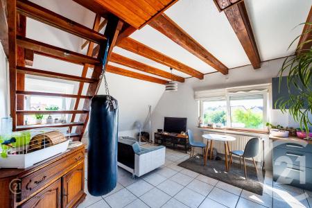 Lingolsheim, Alsace 67380, France