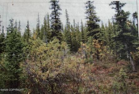 Trt 20 Asls 2009-46, Glennallen, Alaska 99588, USA