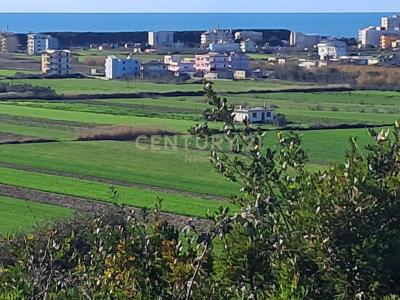 Kavajë, Kavajë, Albania