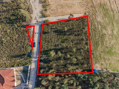 Leiria, Leiria 2400-489, Portugal