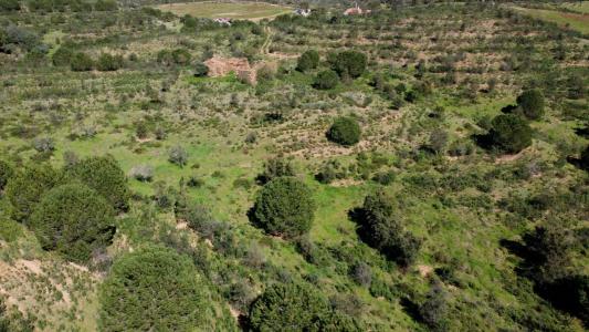 Almodôvar, Beja 7700-240, Portugal