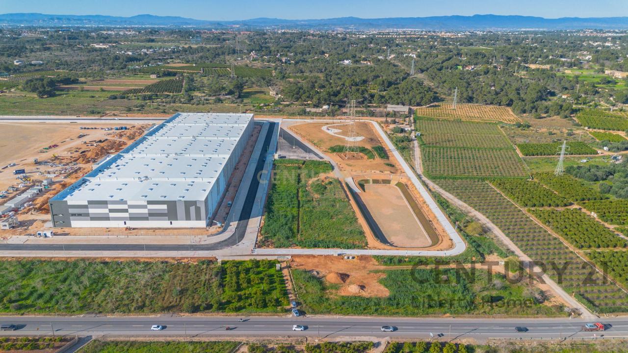 València/Valencia, Comunitat Valenciana 46117, Espagne