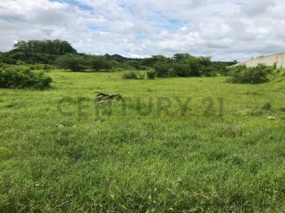 Parroquia Chongon, Km 25 s/n, Guayaquil, Guayas 00001, Equateur