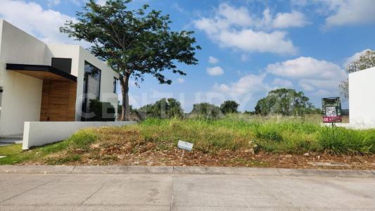 ALTOZANO   Jacaranda 88,, Cuauhtemoc, Colima 28530, México